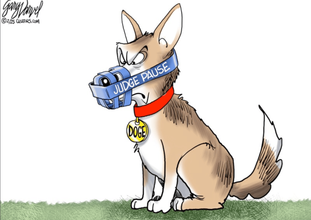 Political Cartoons: Early-Mid Feb.&nbsp;2025